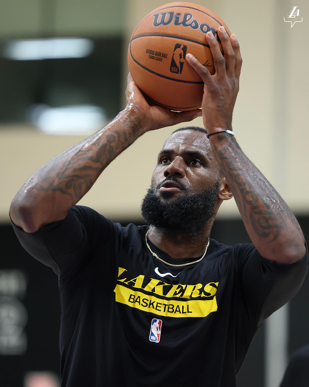 关于意甲赛程吃紧，洛杉矶湖人今夜外线爆发，信心回归，年轻球员得到机会的信息